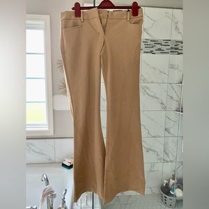 NWT Express Columnist Flare Dress Pants
